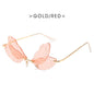 Dragonfly wings sunglasses